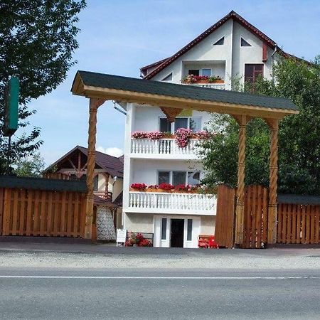 Pensiunea Aurica Tîrgu Lăpuş Zewnętrze zdjęcie