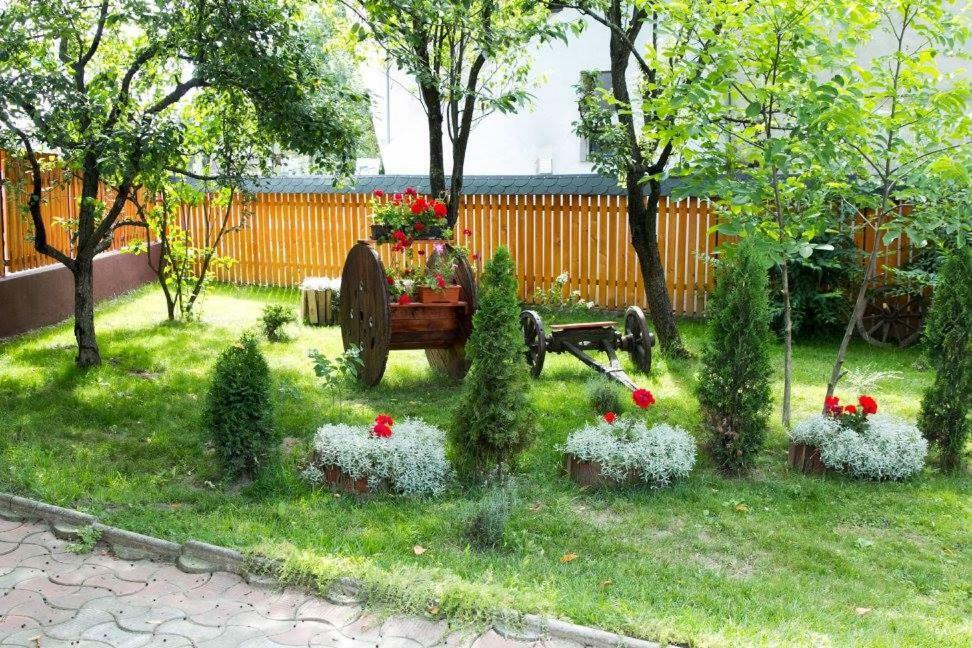 Pensiunea Aurica Tîrgu Lăpuş Zewnętrze zdjęcie