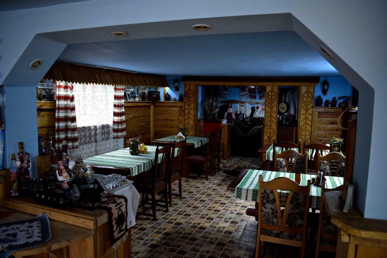 Pensiunea Aurica Tîrgu Lăpuş Zewnętrze zdjęcie