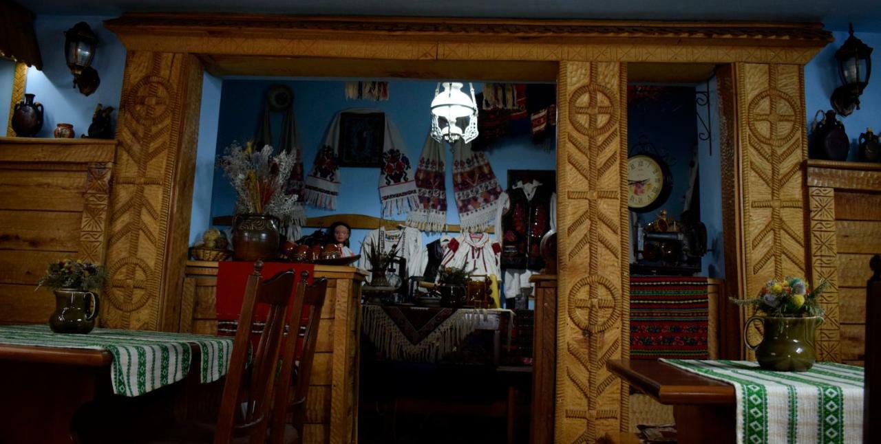 Pensiunea Aurica Tîrgu Lăpuş Zewnętrze zdjęcie