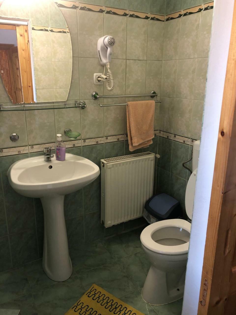 Pensiunea Aurica Tîrgu Lăpuş Zewnętrze zdjęcie